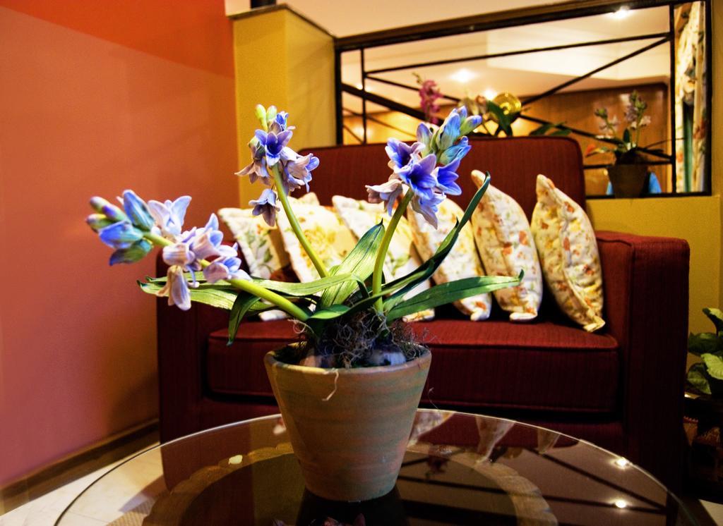 Hotel Bristol Asuncion Exteriör bild